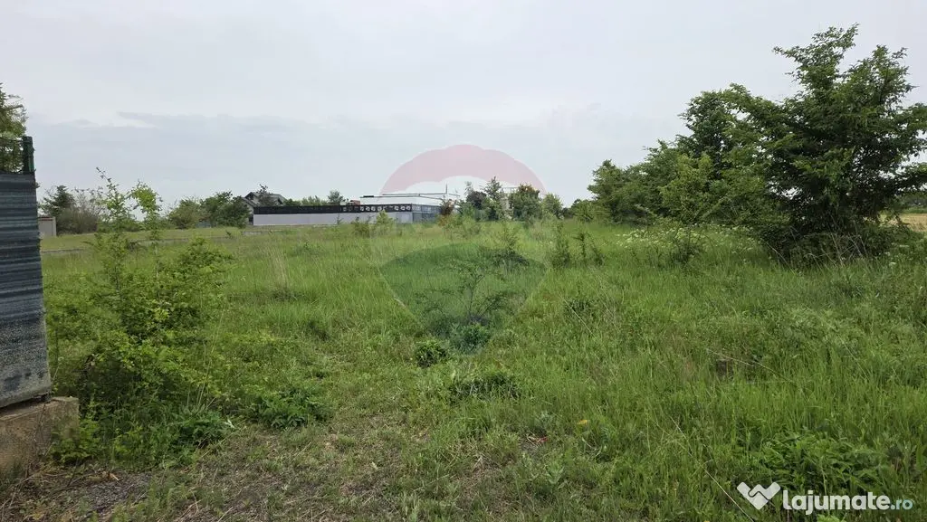 Teren intravilan, langa padure, 752 mp, Bolintin-Deal