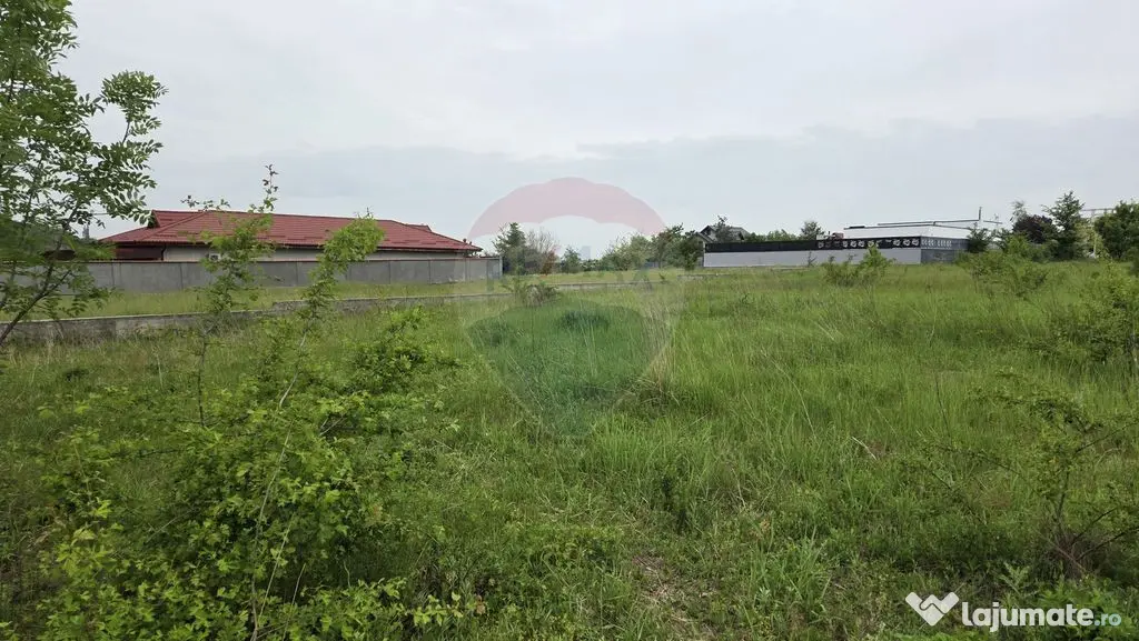 Teren intravilan, langa padure, 752 mp, Bolintin-Deal
