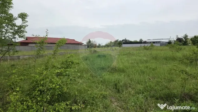 Teren intravilan, langa padure, 752 mp, Bolintin-Deal