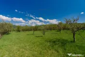 Casa Valea Mare Pravat (Campulung-Arges ) - farmec interbeli 