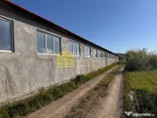 Clădire industrială – Hale – Miercurea Nirajului 