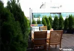 Penthouse 4 Camere Exclusive - Zona Domenii - Terasa Verde 8