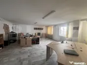 Hala 450 mp, zona Parcul Tineretului 