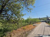Teren Calinesti, Arges!