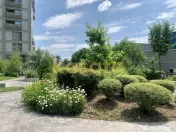Apartament tip Studio Aviaitiei Park | ready to move in | 