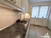 Vila Moderna de Inchiriat /Corbeanca /Duplex P 1 /Gradina Am