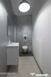 Spatiu comercial de inchiriat in zona Brotacei 