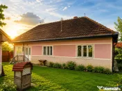 FILM! Gospodarie cu atmosfera traditionala,1.032 mp de verde 
