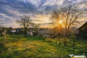 FILM! Gospodarie cu atmosfera traditionala,1.032 mp de verde 