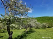 Teren de Vânzare, Budeasa Mica – Potrivit pentru Casă... 
