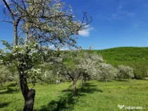 Teren de Vânzare, Budeasa Mica – Potrivit pentru Casă...