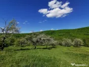 Teren de Vânzare, Budeasa Mica – Potrivit pentru Casă... 