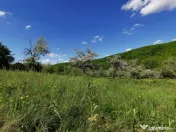 Teren de Vânzare, Budeasa Mica – Potrivit pentru Casă... 