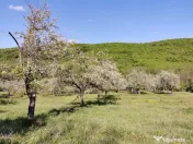 Teren de Vânzare, Budeasa Mica – Potrivit pentru Casă... 
