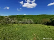 Teren de Vânzare, Budeasa Mica – Potrivit pentru Casă... 
