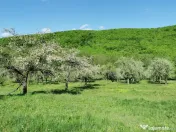 Teren de Vânzare, Budeasa Mica – Potrivit pentru Casă... 