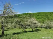 Teren de Vânzare, Budeasa Mica – Potrivit pentru Casă... 