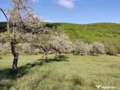 Teren de Vânzare, Budeasa Mica – Potrivit pentru Casă... 