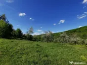 Teren de Vânzare, Budeasa Mica – Potrivit pentru Casă... 