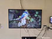 Televizor LG Smart cu diagonala 132 cm 