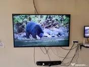 Televizor LG Smart cu diagonala 132 cm 