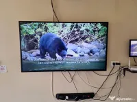 Televizor LG Smart cu diagonala 132 cm 