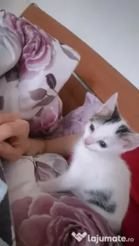 Donăm în mâini bune și responsabile 