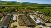 FILM! Complex agrozootehnic cu traditie, echipat pretios p 