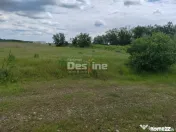 Teren extravilan, 114000 mp, Parc industrial West Park 