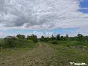 Teren extravilan, 114000 mp, Parc industrial West Park 