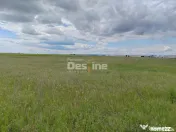 Teren extravilan, 114000 mp, Parc industrial West Park 