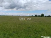 Teren extravilan, 114000 mp, Parc industrial West Park 