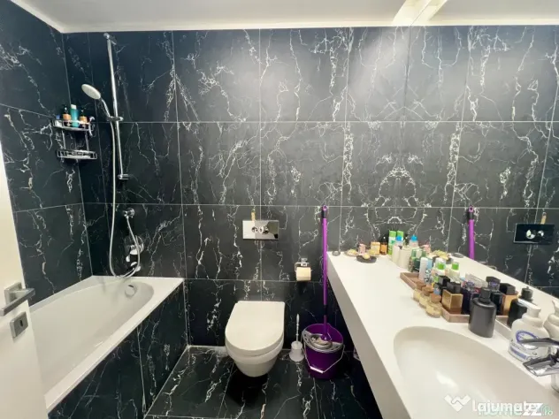 Apartament 2 Camere Mobilat Premium lOne Herastrau Plaza ...