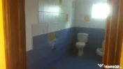 Casa 230 mp Teren 3163 mp Baicoi Prahova