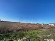 Dragomiresti Vale - 6500 mp - ideal dezvoltare rezidentiala 