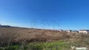 Dragomiresti Vale - 6500 mp - ideal dezvoltare rezidentiala