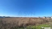 Dragomiresti Vale - 6500 mp - ideal dezvoltare rezidentiala