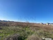 Dragomiresti Vale - 6500 mp - ideal dezvoltare rezidentiala 