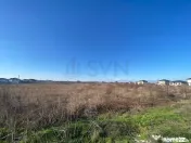 Dragomiresti Vale - 6500 mp - ideal dezvoltare rezidentiala 