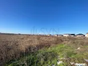 Dragomiresti Vale - 6500 mp - ideal dezvoltare rezidentiala 