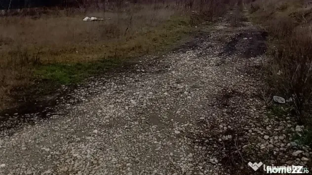 Teren Intravilan 11075 mp Otopeni Ilfov - Otopeni (Bucuresti-Ilfov)