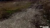 Teren Intravilan 11075 mp Otopeni Ilfov 