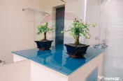 Pensiune cu 8 camere de vânzare 