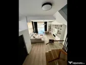 Vila 5 camere Tineretului Brancoveanu 
