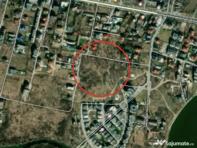 Teren 1000 mp Sisesti