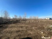 Teren Intravilan Bragadiru 433mp