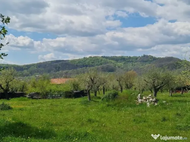 Domeniu Pensiune Transfagarasan 20855
