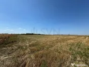 Teren de in Otopeni l 26000MP 