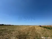Teren de in Otopeni l 26000MP 
