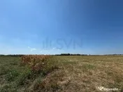 Teren de in Otopeni l 26000MP 